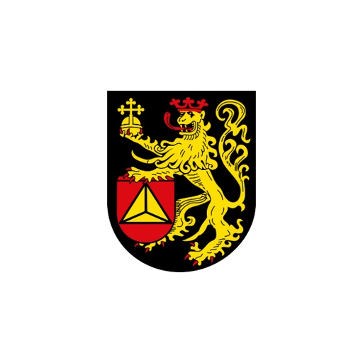 [13384] RSM Kreisfreie Stadt Frankenthal 